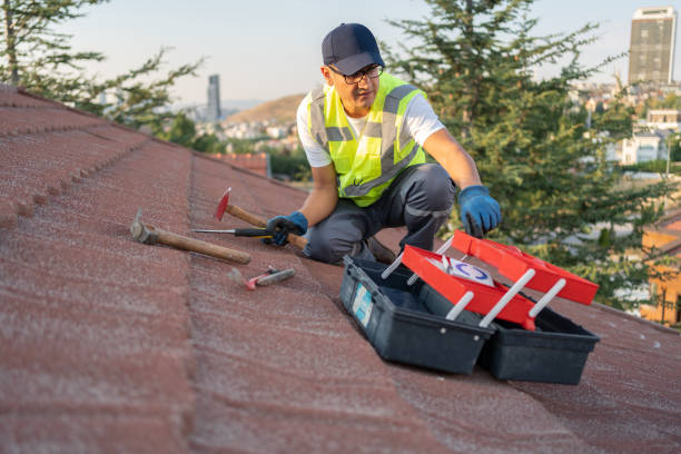 Best Historical Building Siding Restoration  in Newport, KY